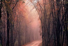 ayx爱游戏官网：AC米兰1-1【总比分1-2】费耶诺德 我们结束欧冠征程.