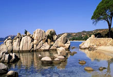 意媒：尤文準備與博格巴經紀人商討球員未來，或考慮終止合同！.